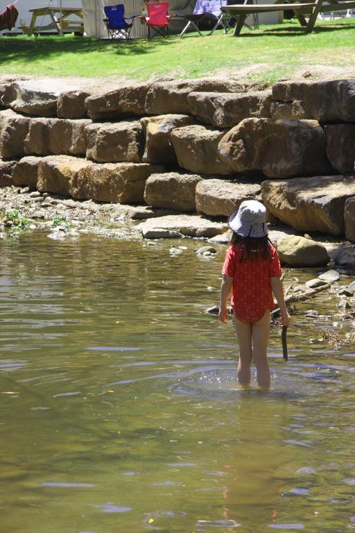 Big4 Wye River Holiday Park Buitenkant foto